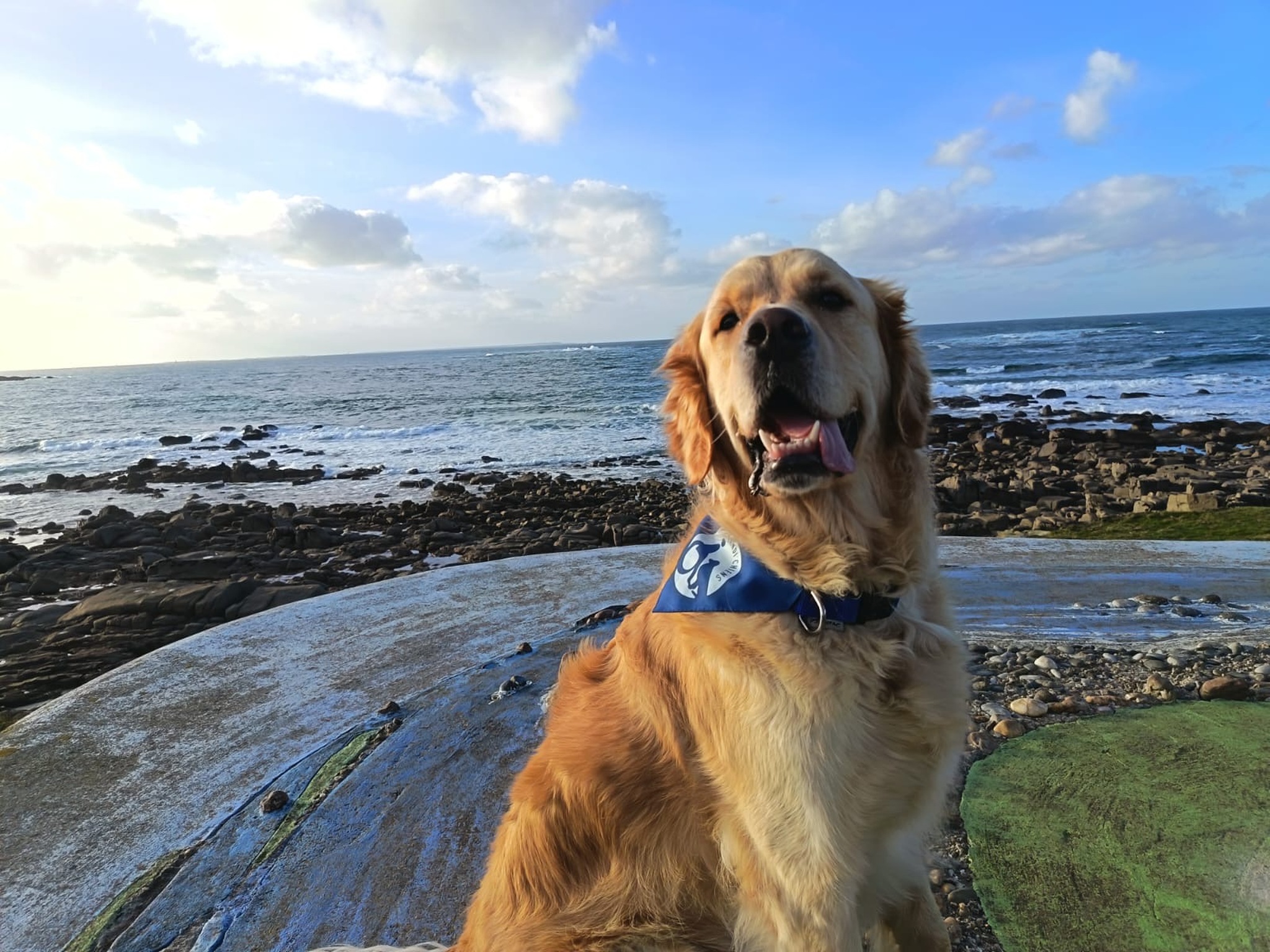 Consulter cet article